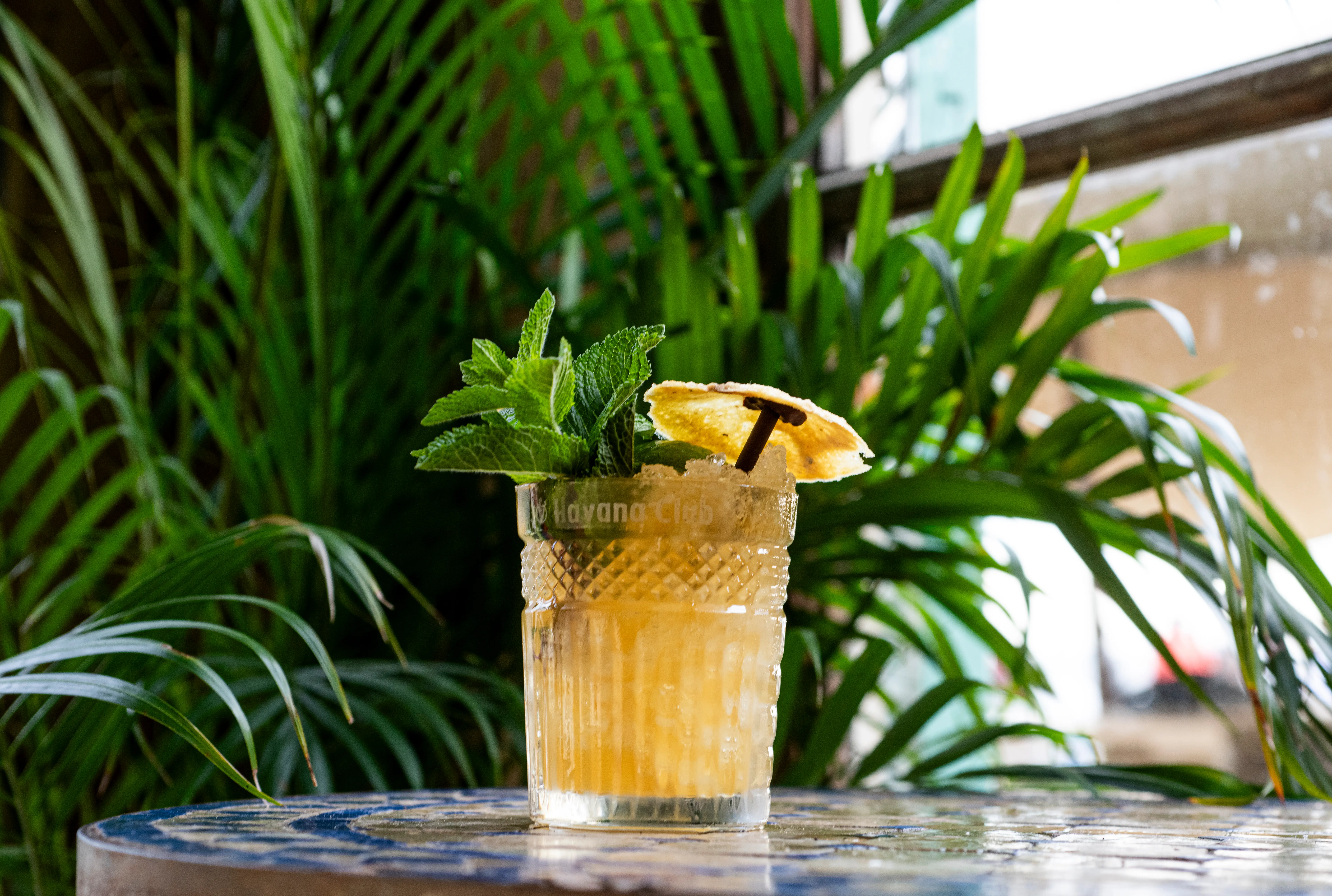 Cocktail bij Mango's.